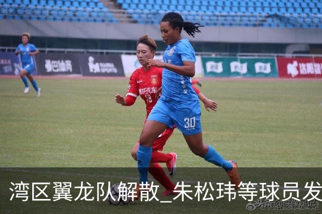 湾区翼龙队解散 朱松玮等球员发布声明维权